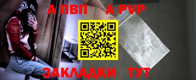 шишки Боровичи