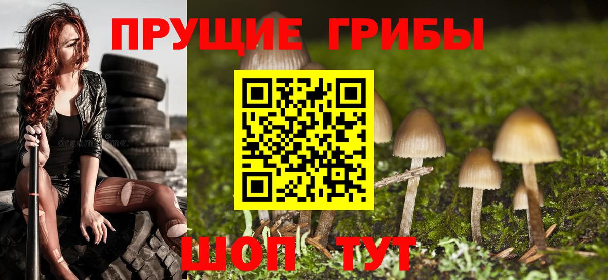 Бузулук  Галлюциногенные грибы GOLDEN TEACHER  Вход с VPN 